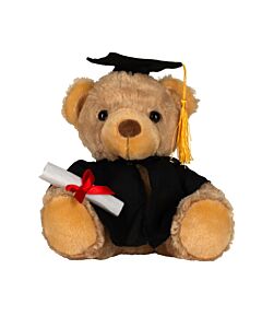 Graduation bear