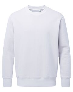 Anthem sweatshirt