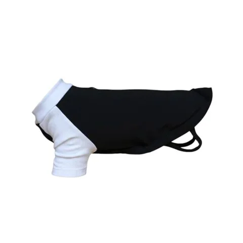 Dog’s raglan t-shirt