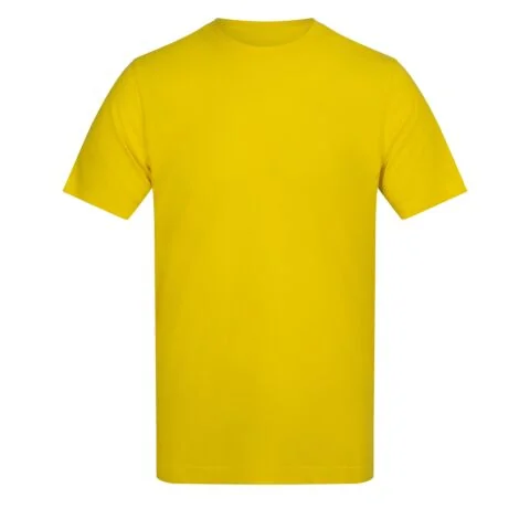 The AWDis 180 T