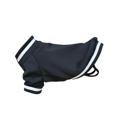 Dog’s varsity jacket