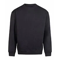 Vision heavyweight sweat
