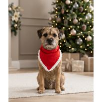 Portman & Pooch Dog’s Christmas bandana