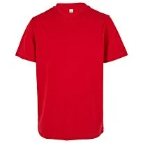 Organic kids basic tee