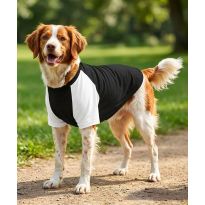 Portman & Pooch Dog’s raglan t-shirt