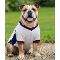Portman & Pooch Dog’s football t-shirt