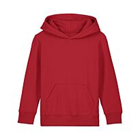 Kids Mini Cruiser 2.0 iconic hoodie sweatshirt