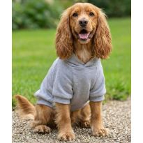 Portman & Pooch Dog’s hoodie