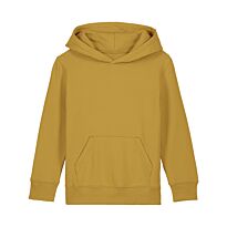 Kids Mini Cruiser 2.0 iconic hoodie sweatshirt