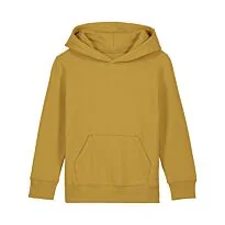 Kids Mini Cruiser 2.0 iconic hoodie sweatshirt