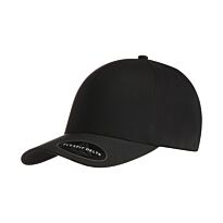 Flexfit Delta cap