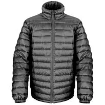 Ice bird padded jacket