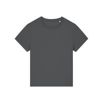 Stanley/Stella Women’s Stella Muser iconic t-shirt (STTW172)