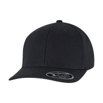Flexfit by Yupoong 110 Flexfit curved snapback (9293)