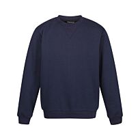 Pro crew neck sweatshirt