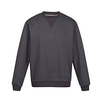 Pro crew neck sweatshirt