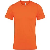 Unisex Jersey crew neck t-shirt