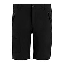 Prolite stretch shorts