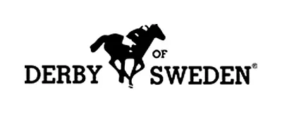 Derby Of Sweden