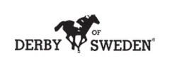 Derby Of Sweden