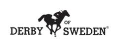 Derby Of Sweden