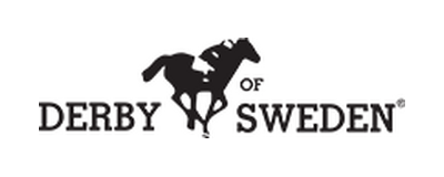 Derby Of Sweden logo