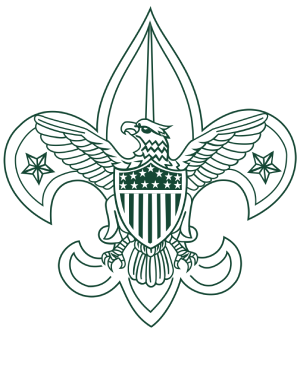 BSA Troop 401 Logo