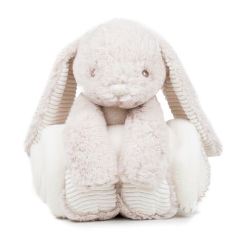 Rabbit and blanket