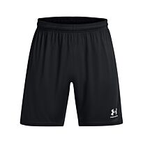 Men's UA Challenger Knit Shorts